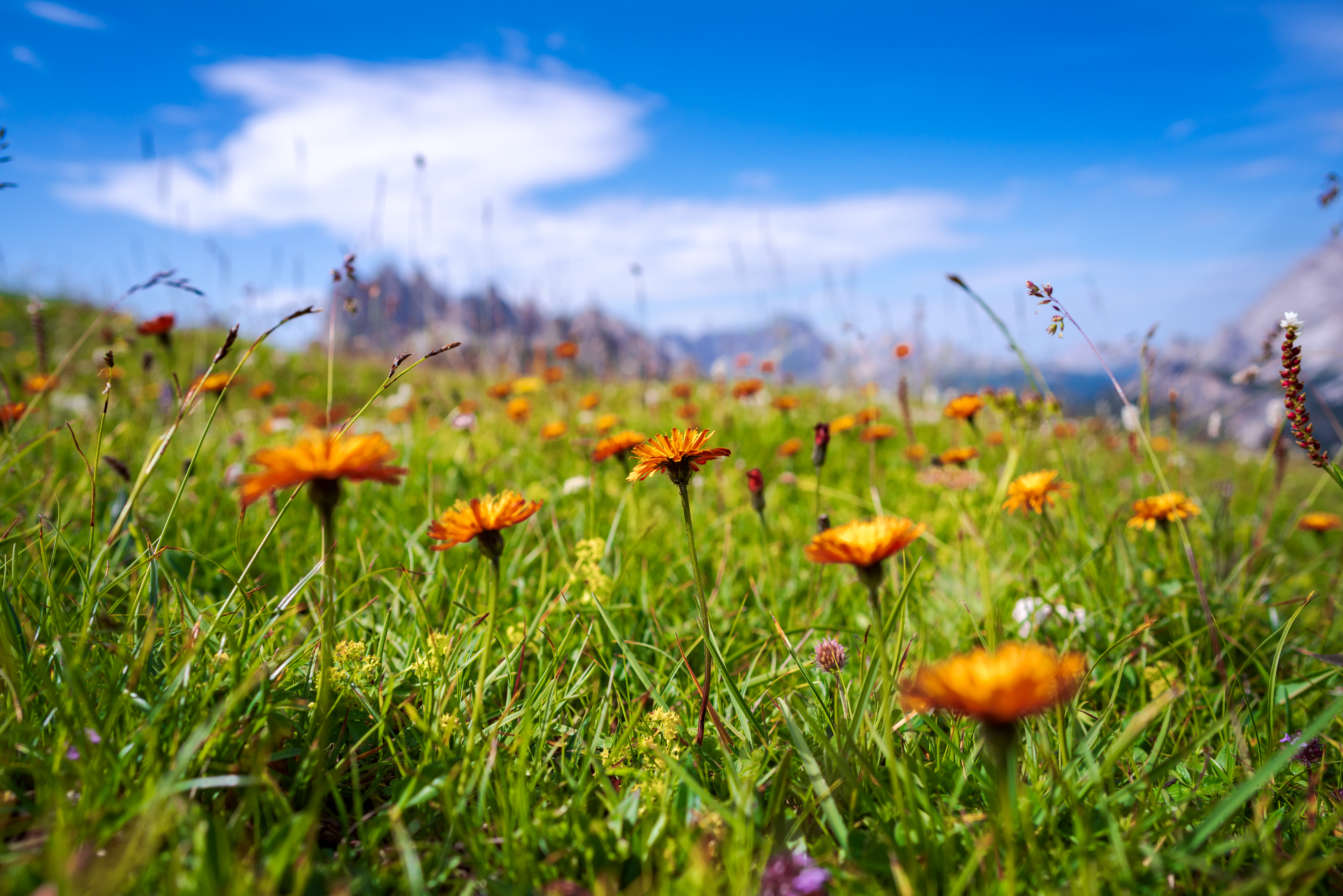 Mar 31 – Journal Entry