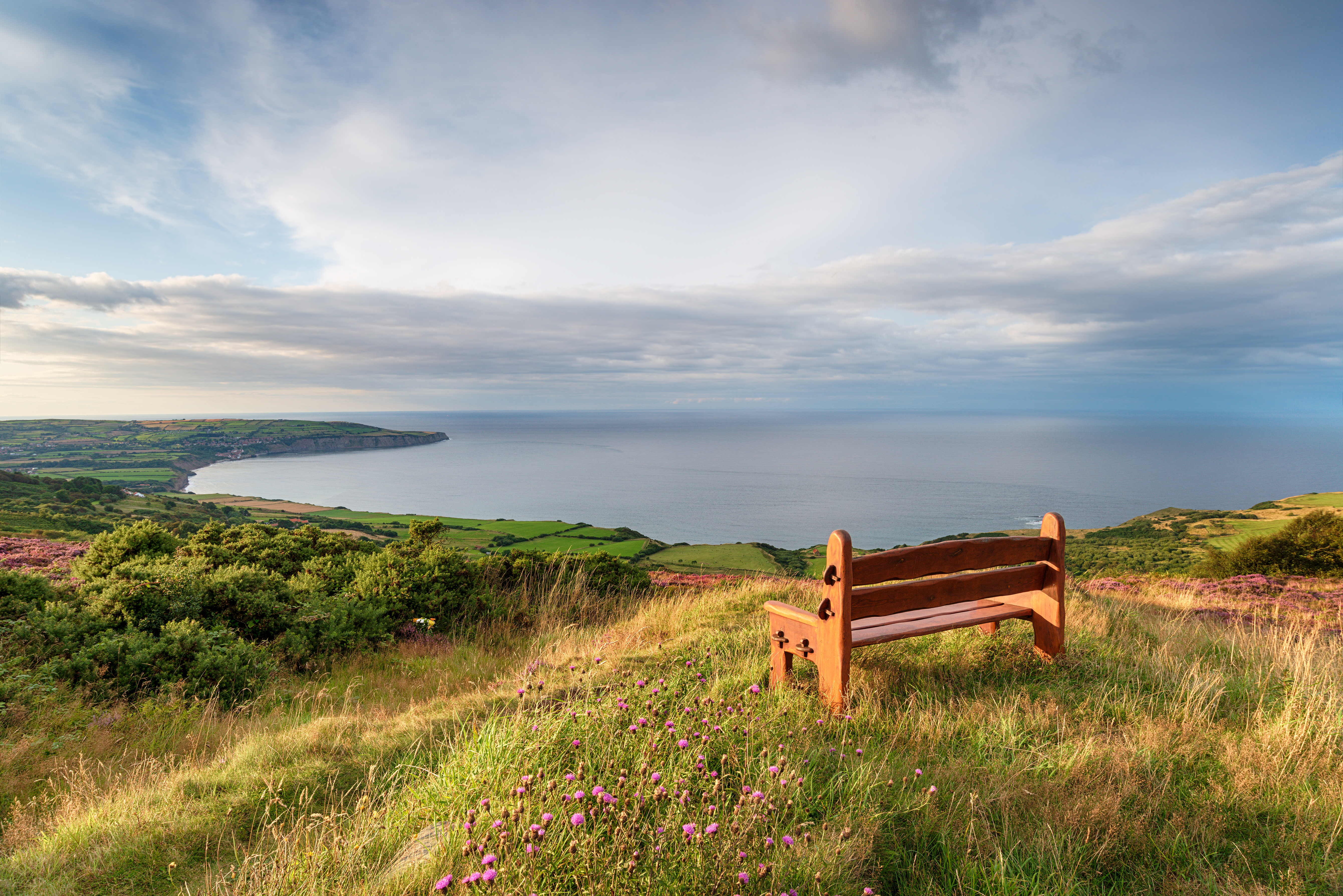 Bench