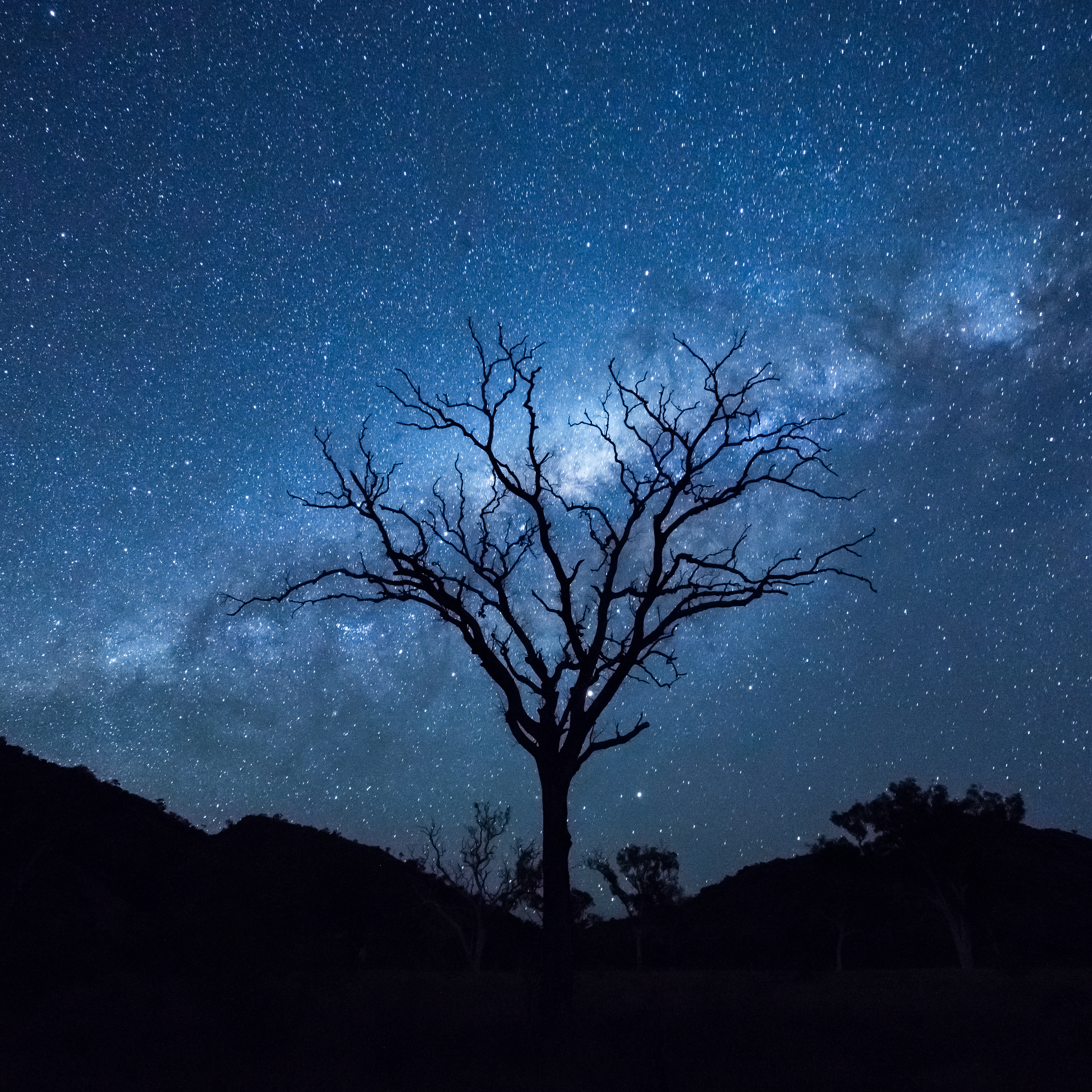 Light – Discover One Word Prompt