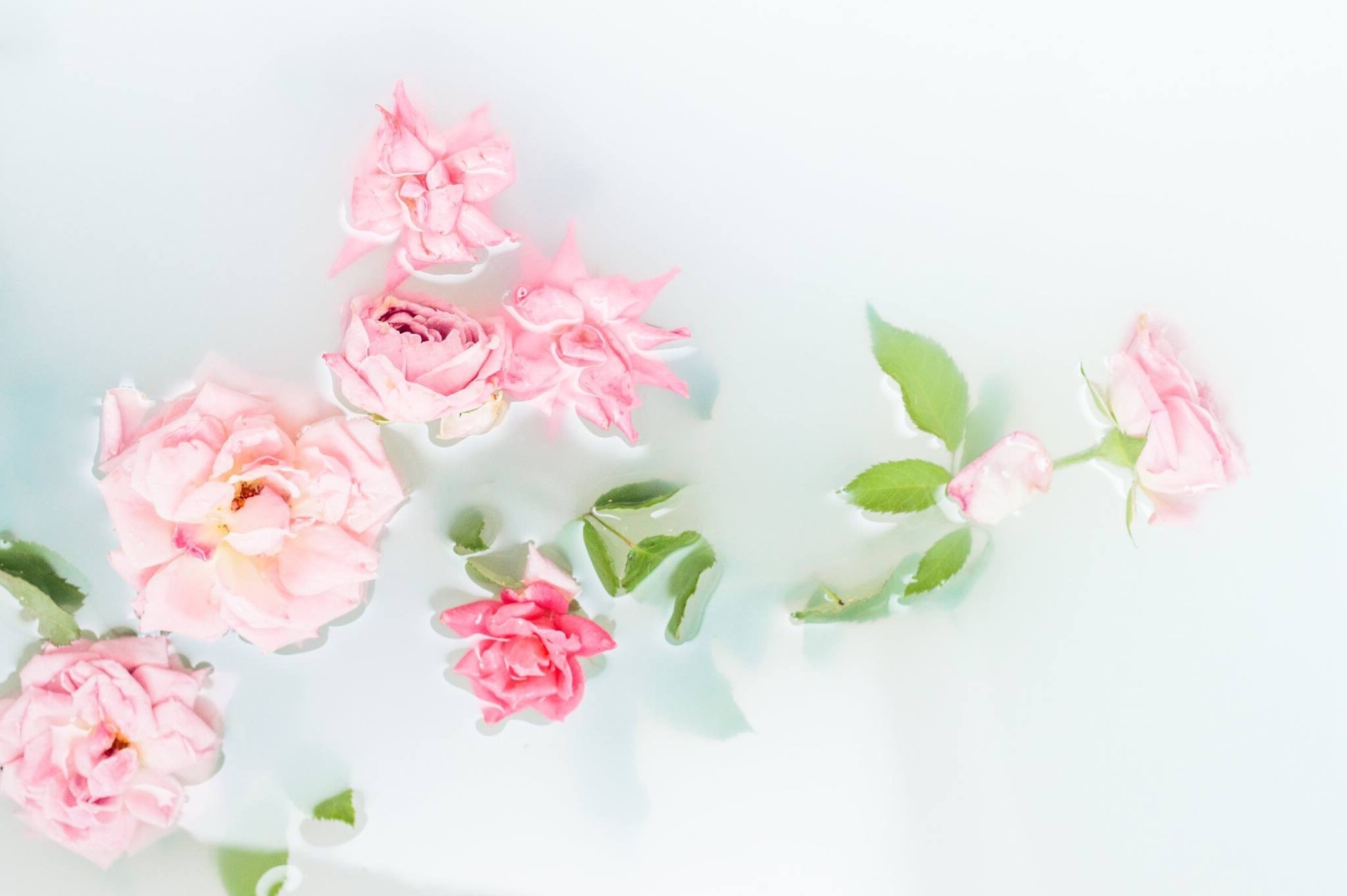 May 2 – Journal Entry