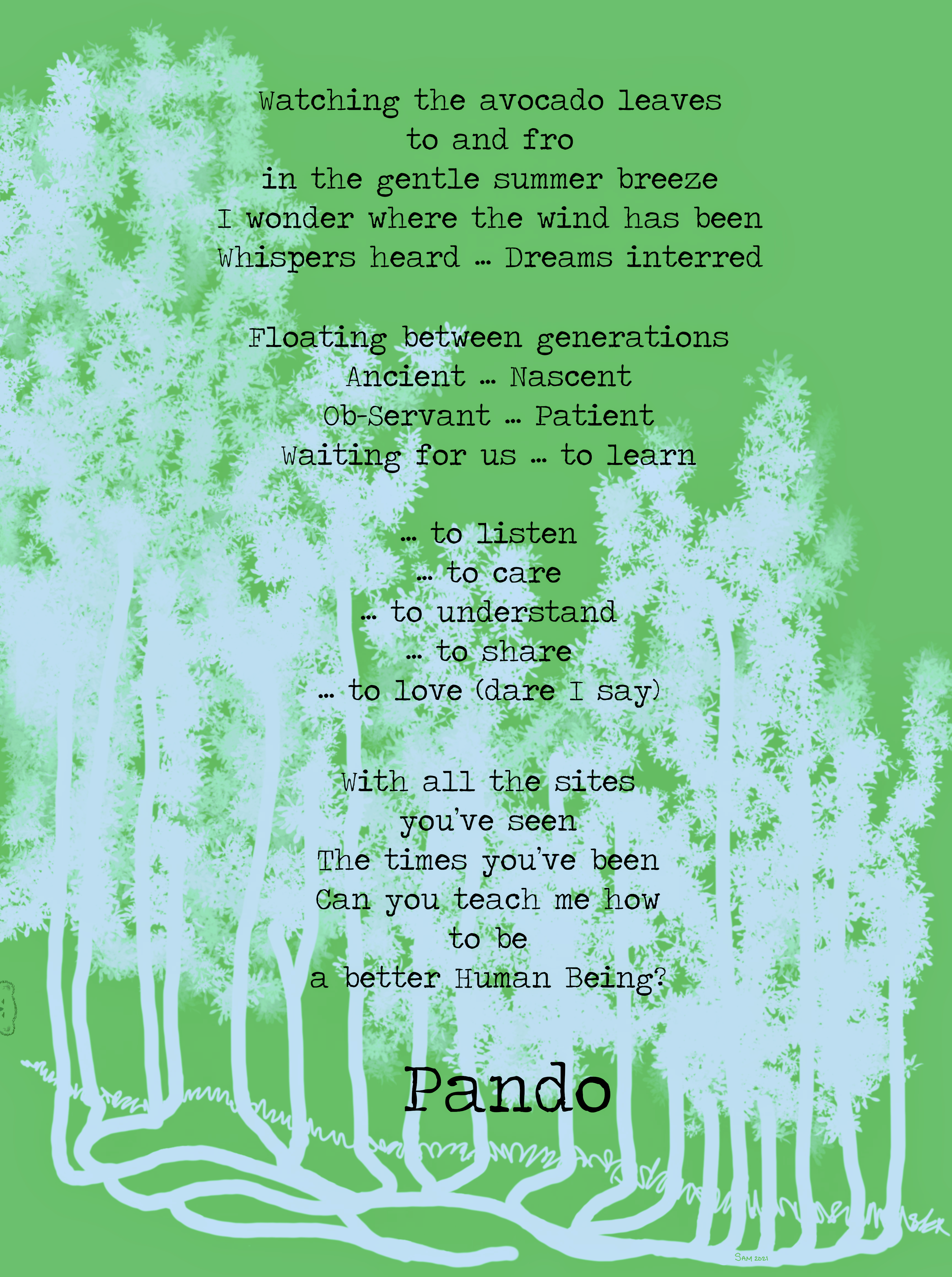 Pando: Ociola | Planet PU Pando