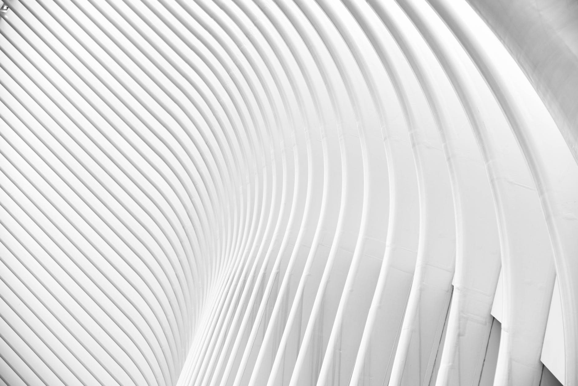 Sleepless In Toronto: Ociola | Planet PU Sleepless In Toronto