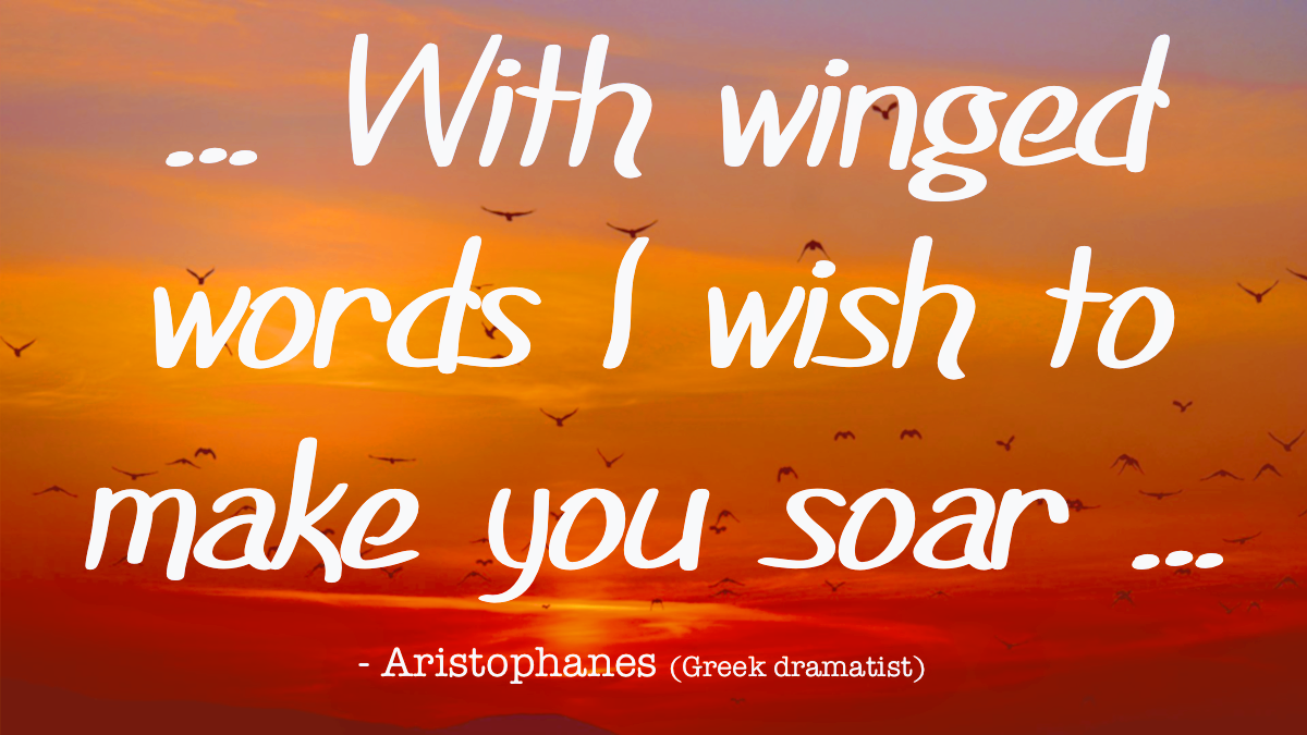 QUOTE: Winged Words: Ociola | Planet PU QUOTE: Winged Words