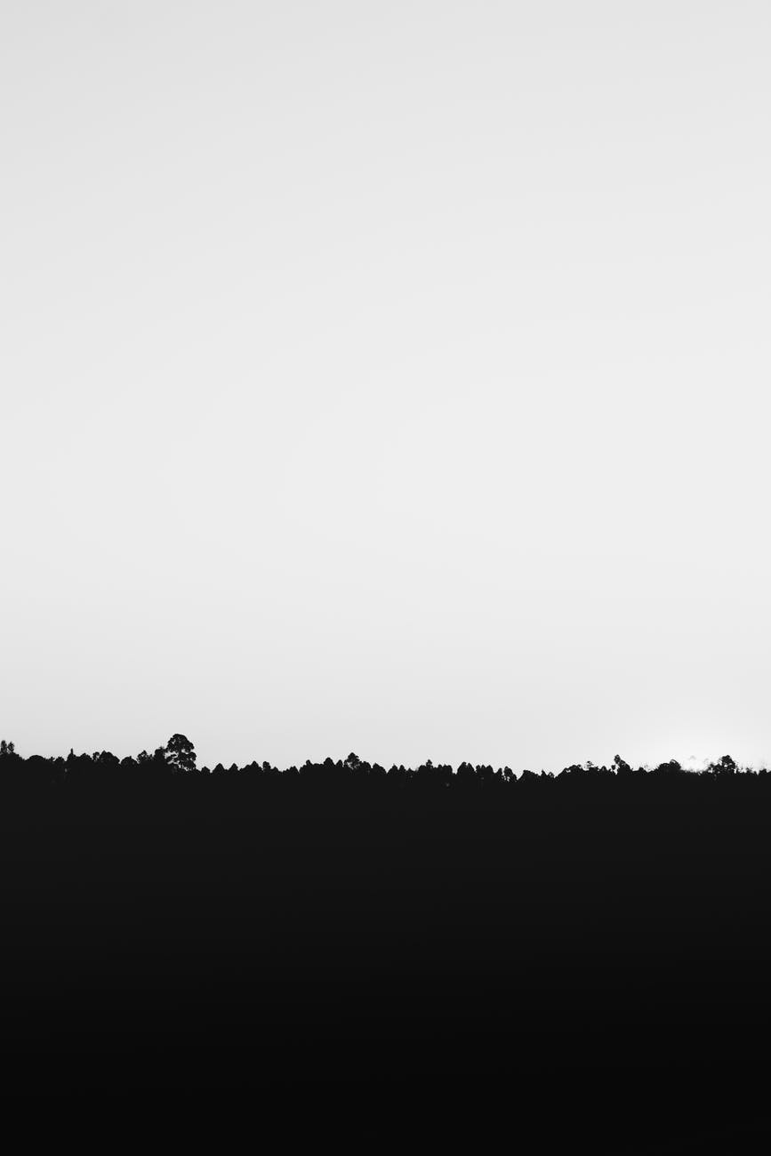 Void