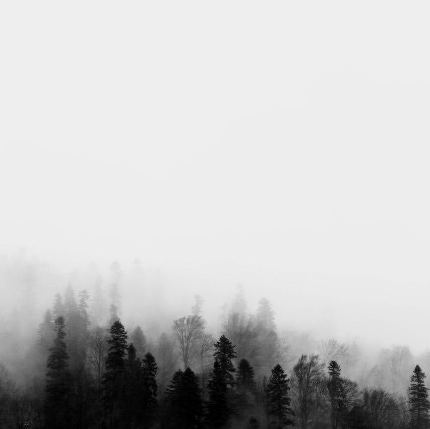 The Mist