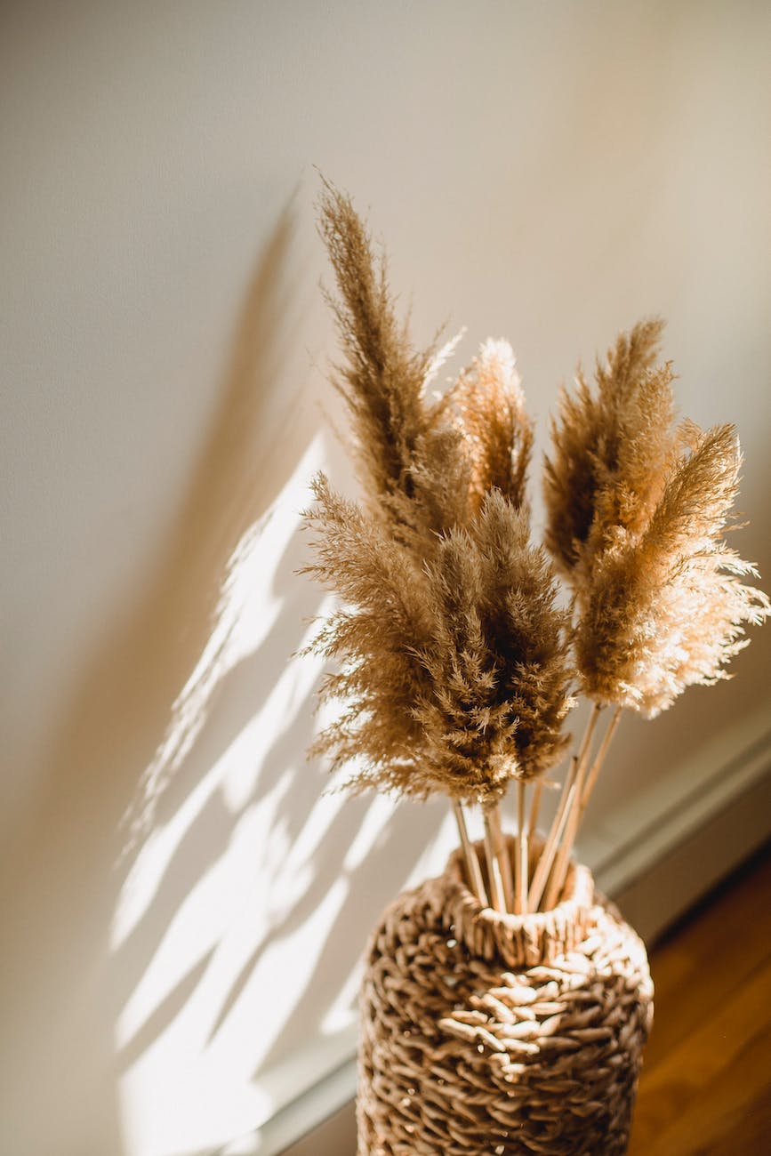 The Hair Affair