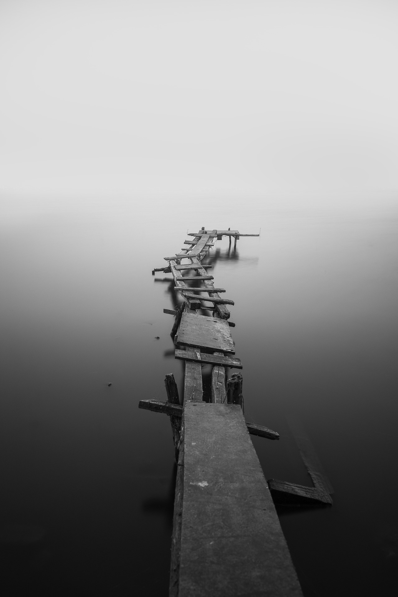 Arbitrary: Ociola | Planet PU Arbitrary