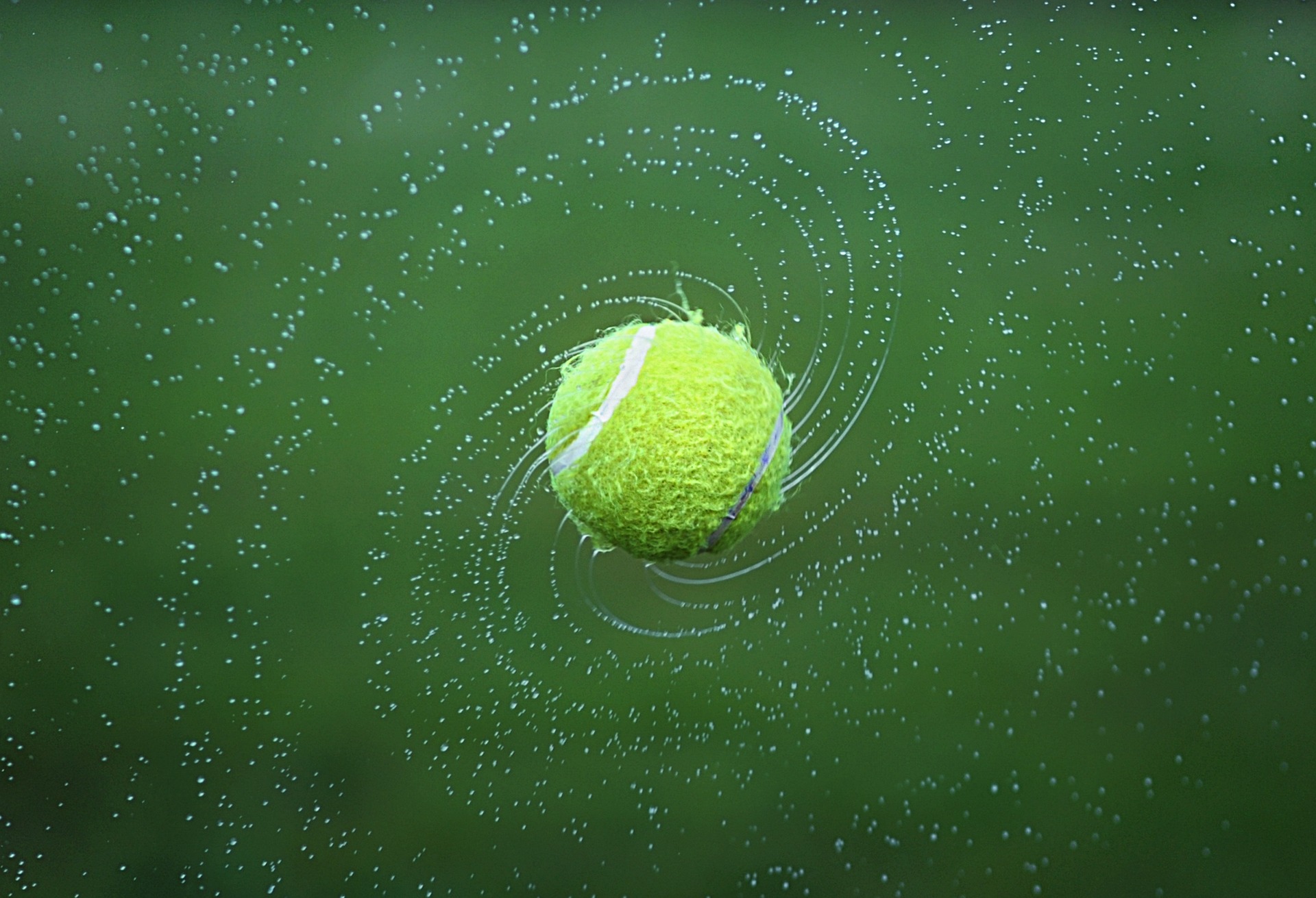 Taser Tennis Racquet