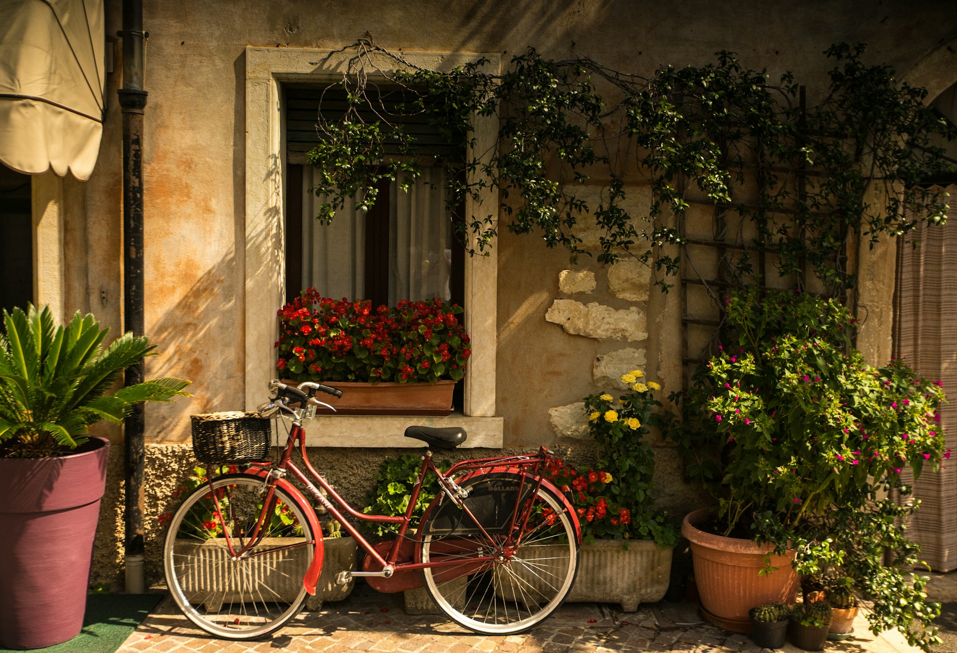 to Simplicity: Ociola | Planet PU to Simplicity