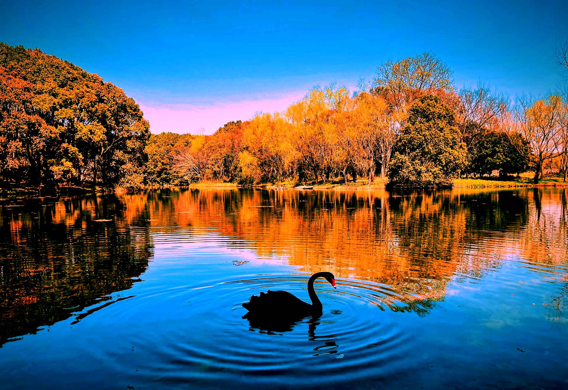 Love In All Seasons: Ociola | Planet PU Love In All Seasons