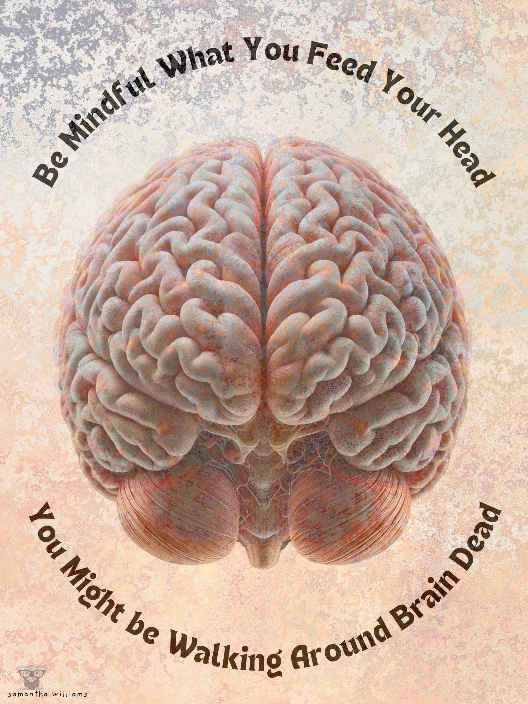 PSA: On The Brain: Ociola | Planet PU PSA: On The Brain