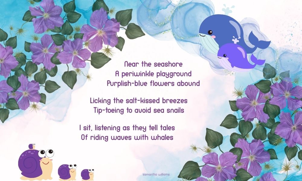Tidepool Tales