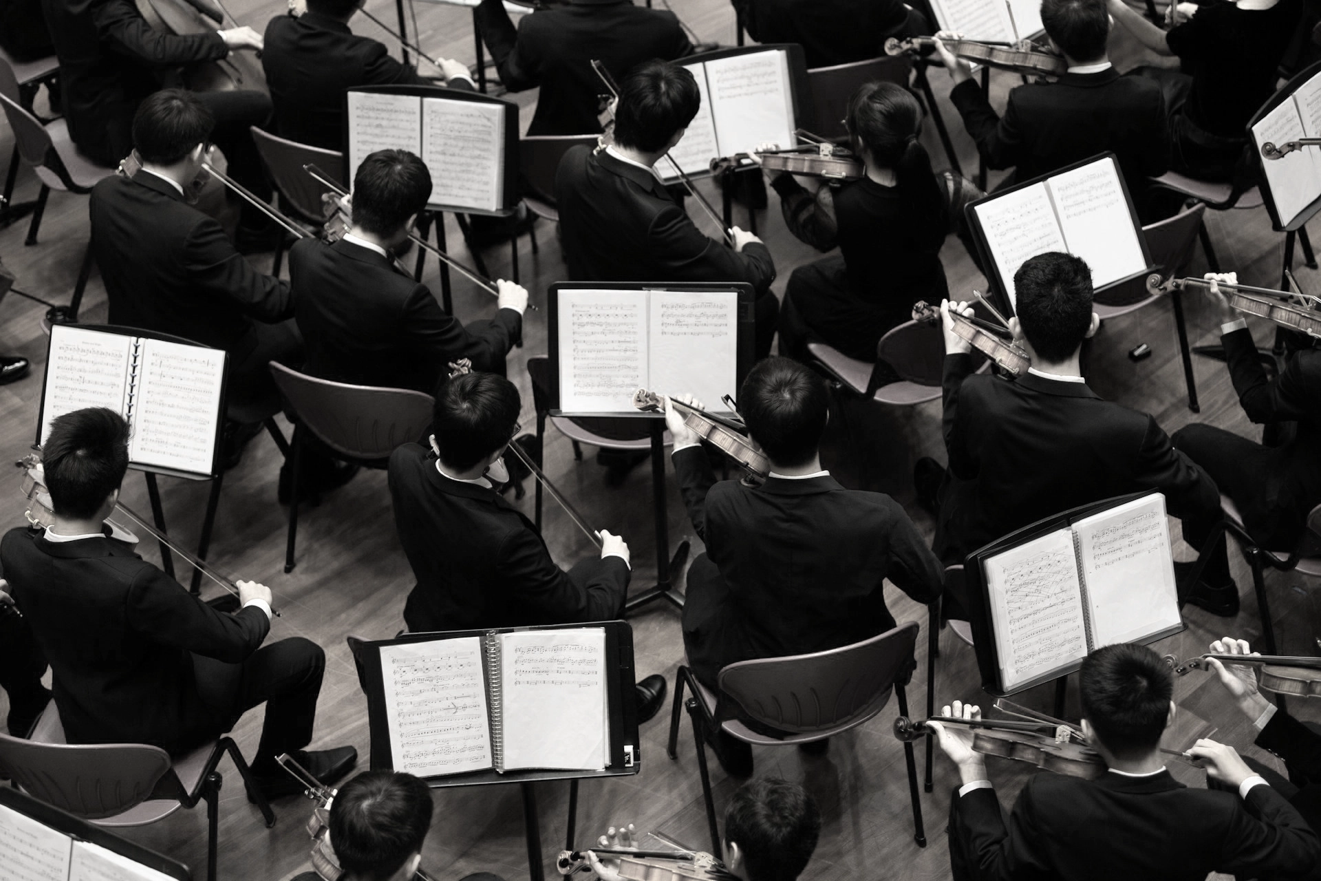 Adagio for Strings: Ociola | Planet PU Adagio for Strings