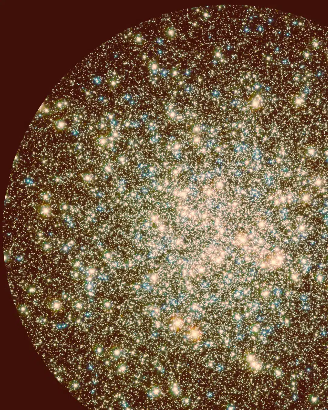 Seeking Intelligent Life: Ociola | Planet PU Seeking Intelligent Life