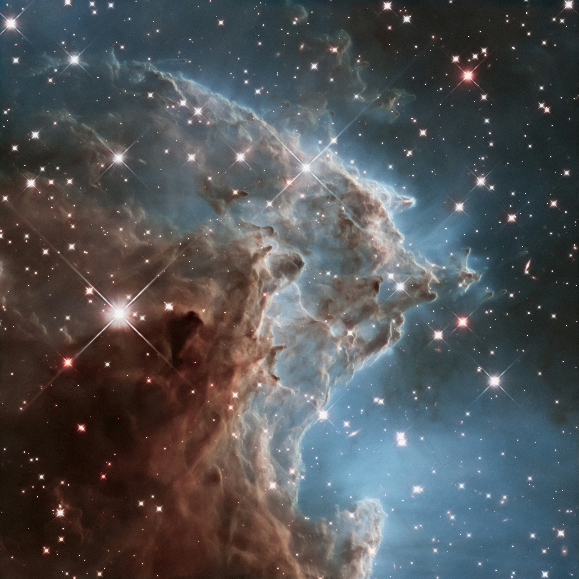 Co-Star: Ociola | Planet PU Co-Star