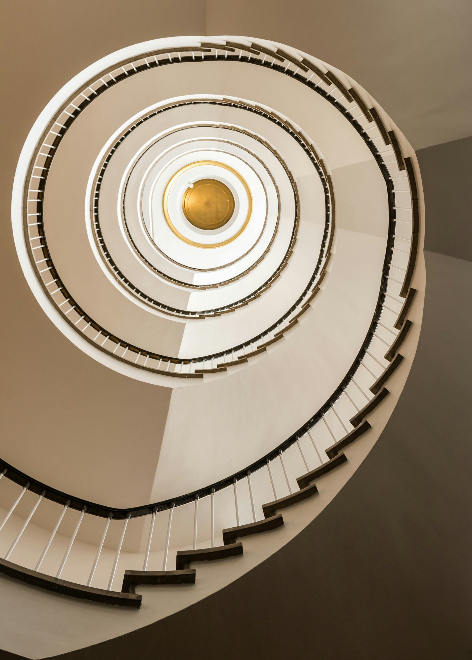 Spiral Up: Ociola | Planet PU Spiral Up